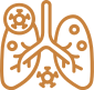 ikona